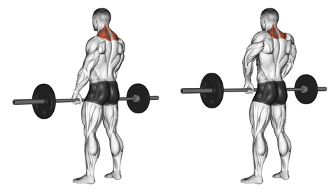 Barbell Shrugs - fitlife mantra