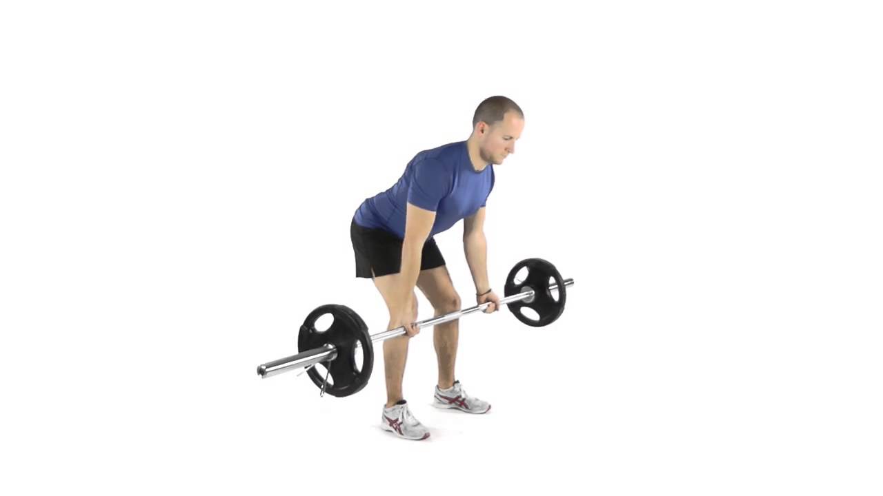 Barbell Underhand Bent Over Row - Fitlife Mantra