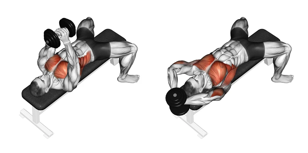 Dumbbell Pullover - Fitlifemantra