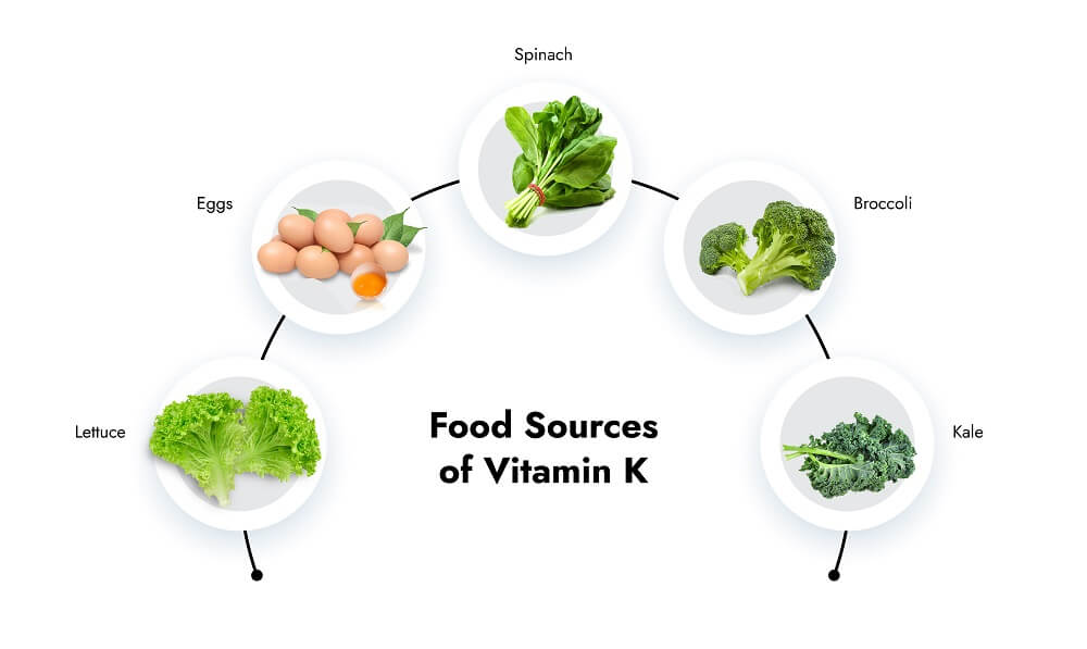 Food Sources of Vitamin K - FitLife Mantra