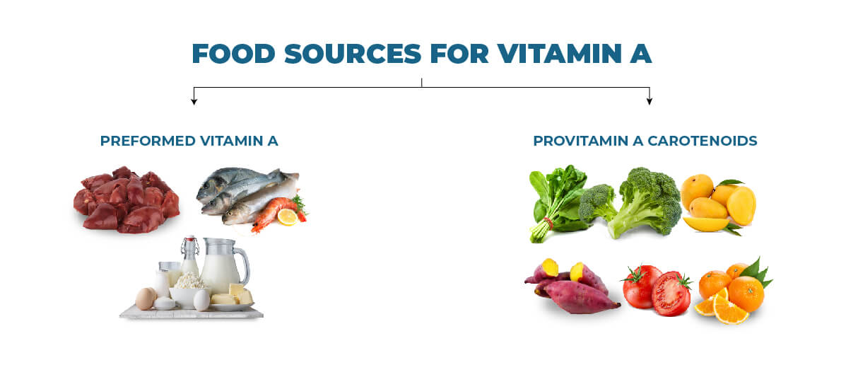 Food sources for Vitamin A - fit life mantra
