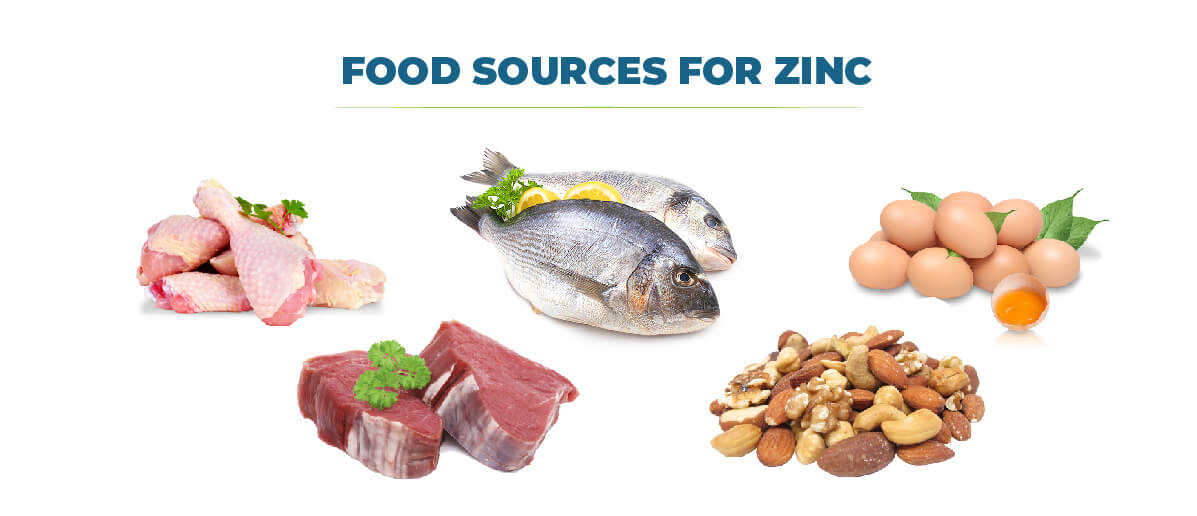 Food sources for Zinc - Fitlife Mantra